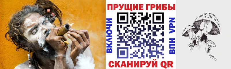Купить закладки  Кирсанов  Псилоцибиновые грибы Magic Shrooms 