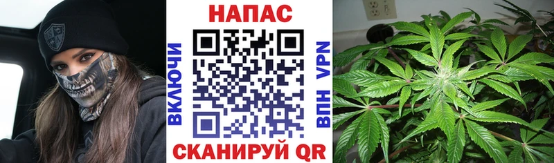 Купить  Кирсанов  Шишки марихуана White Widow 